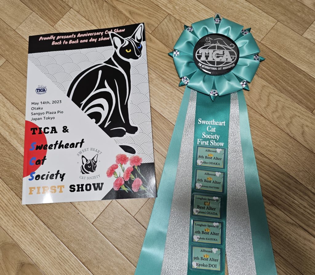 SWEET HEART CAT SOCIETY(SCS)のTICAキャットショーへ出陳しました