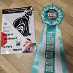 SWEET HEART CAT SOCIETY(SCS)のTICAキャットショーへ出陳しました