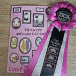 Cats paradise party(CPP)のキャットショーへ参加してきました。